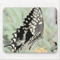 Butterfly mousepads