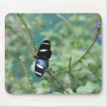 Butterfly Mouse Pad