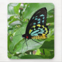 Butterfly Mousepad!