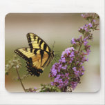 Butterfly Mousepad