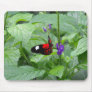 Butterfly Mousepads