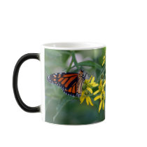 Butterfly mugs