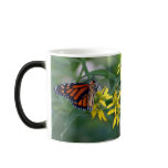Butterfly mugs