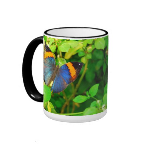 Butterfly Mug zazzle_mug