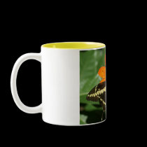butterfly mug mugs