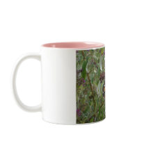 Butterfly Coffee Mugs