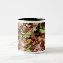 Butterfly mugs
