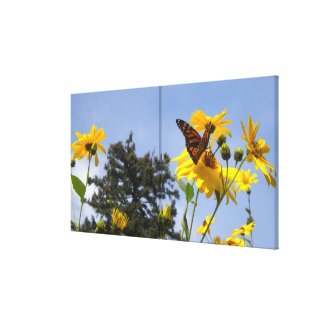 Butterfly N Sunflowers Wrapped Canvas wrappedcanvas