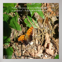 Butterfly/Nature Graphic Poster With Ralph Waldo E