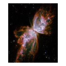 Butterfly Nebula Print