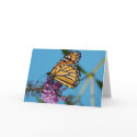 Butterfly Note Cards by Sabinesingh Butterfly Note Cards