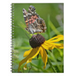 Butterfly Notebook