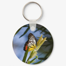 Butterfly of Hong Kong Keychain