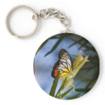 Butterfly of Hong Kong Keychain