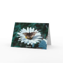 Butterfly on a daisy cards