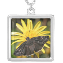Butterfly on a Daisy necklaces