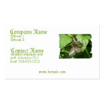 Butterfly on a Leaf Business Card