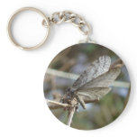 Butterfly on a Twig Key Chains