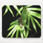 Butterfly on Bamboo Mousepad