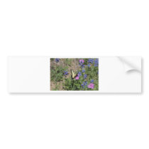 Butterfly on Bluebonnet Bumper Sticker