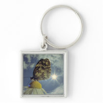Butterfly on camomile flower with sun, keychains