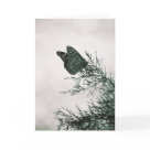  - This fully customizable card design is also available in matching postage!  Photography by Patrice Vandehey: Sizes 