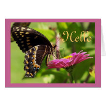 Butterfly on daisy greeting cards
