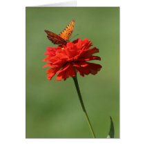 Butterfly on flower cards