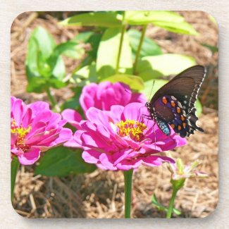 Butterfly on Flower Cork Coaster