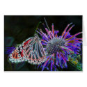 Butterfly On Flower Digital Art Photo Note Card