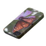 Butterfly on Flower iphone case iPhone 4 Covers