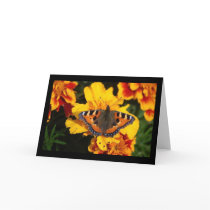 Butterfly on Flower Note Card by pulsDesign Butterfly on Flower Note Card