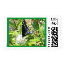Butterfly on Flower Postage Stamp
