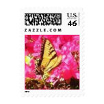 butterfly on flower postage stamps