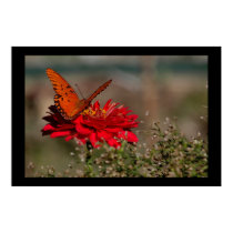 Butterfly on Flower posters by skatada Butterfly on Flower posters