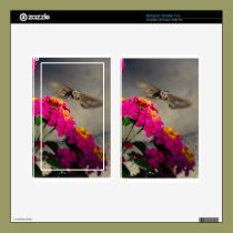 Butterfly on flower skins