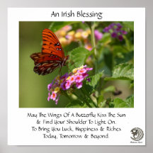 Butterfly On Flowers ~ Irish Blessing Posters