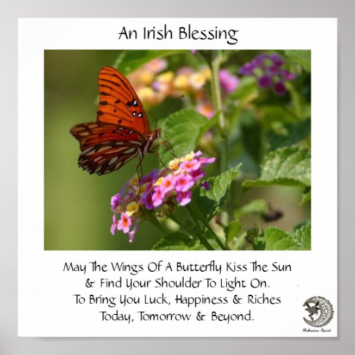 Butterfly On Flowers Irish Blessing Poster Zazzle
