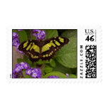 butterfly on flowers postage