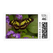 butterfly on flowers postage