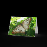 Butterfly on Jasmine Card