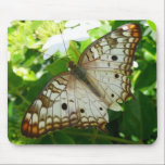 Butterfly on Jasmine Mousepad
