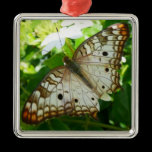 Butterfly on Jasmine Ornament