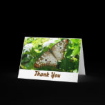Butterfly on Jasmine Thank You Card