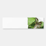 Butterfly on Leaf Bumper Sticker