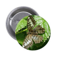 Butterfly on Leaf Button