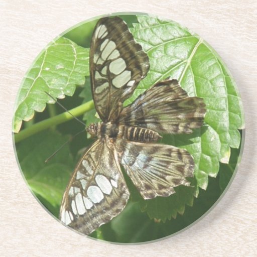 Butterfly on Leaf Coaster