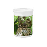 Butterfly on Leaf Pitcher