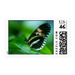 Butterfly on Leaf Stamps