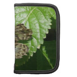 Butterfly on Leaf Wallet Folio Folio Planner